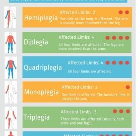 Classifying Cerebral Palsy: Limb Involvement