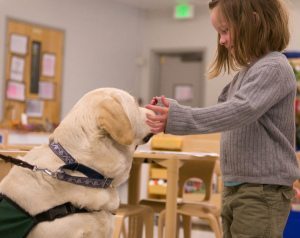 Cerebral Palsy (CP) Therapy in Ann Arbor, Michigan